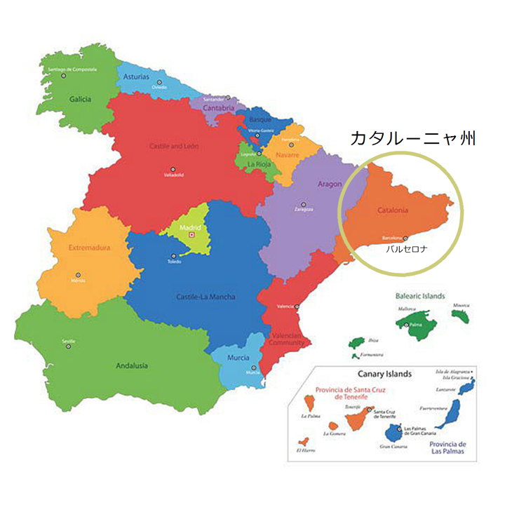 白カビサラミ　カタルーニャ