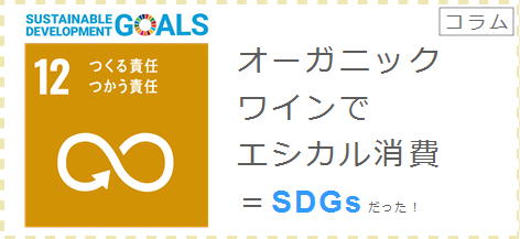 /column_sdgs12.JPG