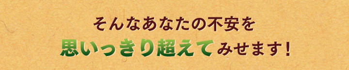オーガニックワインシリーズコノスル | オーガニック 全種セット