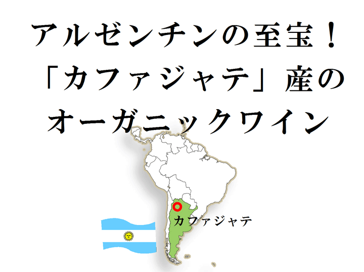 クマオーガニック　8本セット 