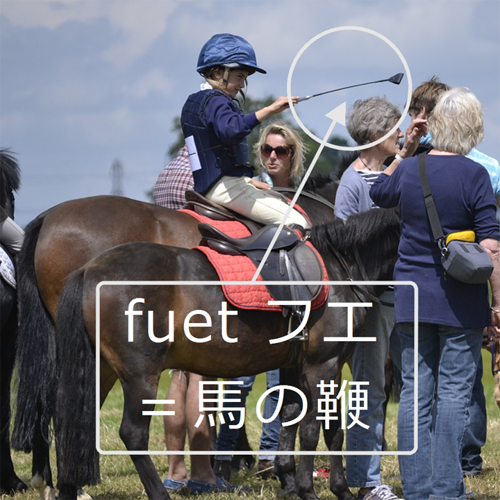 白カビサラミ　フエは馬の鞭