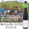 ﾚ･ｳﾞｧﾝ･ﾋﾟﾙｴｯﾄ／ピノ ノワール　ド　ステファン