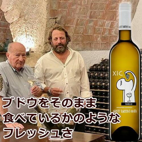 wine様 チック（XIC）／アグスティ・トレーリョ | ハウディ