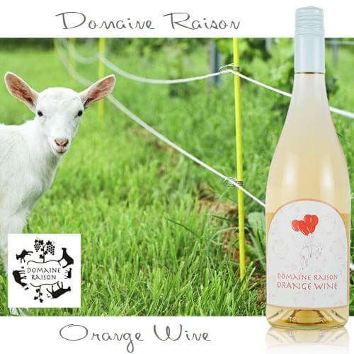 ﾄﾞﾒｰﾇﾚｿﾞﾝ／オレンジワイン