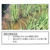 問天　純米大吟醸 2016　木箱入　720ml