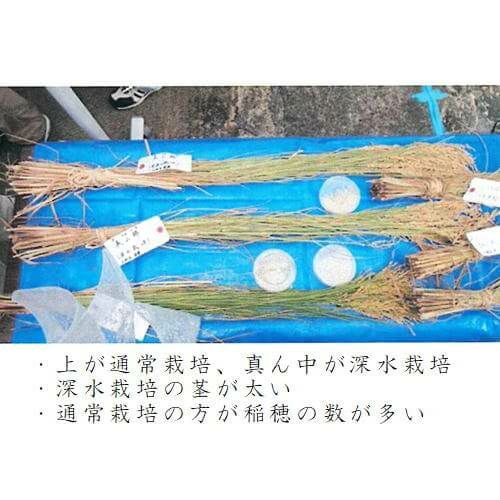 問天 純米吟醸 2016 木箱入 720ml | ハウディ