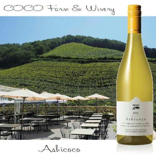 日本 | ハウディ