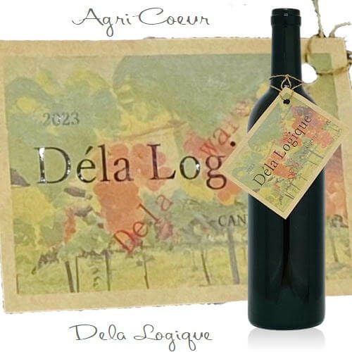 ｱｸﾞﾘｸｰﾙ／デラ　ロジック　Déla Logique