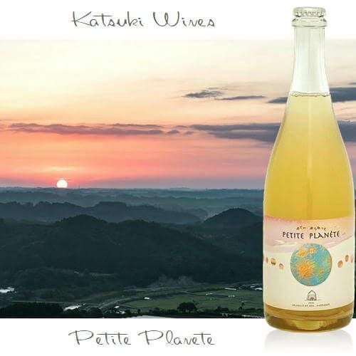 PETITE PLANETE プティ プラネット／香月ワインズ | ハウディ