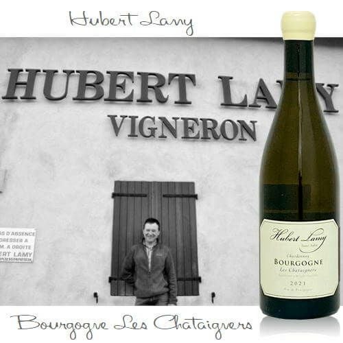 ブルゴーニュ ブラン レ・シャテニェール 2021／ドメーヌ・ユベール