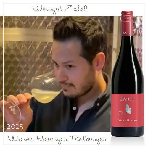 ウィーナー ホイリゲ ロートブルガー2025／ツァーヘル【2025年新酒