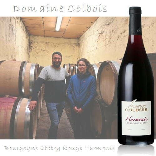 ﾄﾞﾒｰﾇ ｺﾙﾎﾞﾜ／ブルゴーニュ　シトリー ルージュ アルモニ