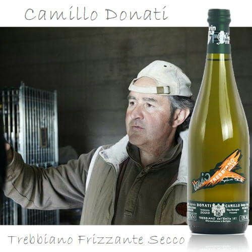 ｶﾐｯﾛ ﾄﾞﾅｰﾃｨ／トレッビアーノ フリッザンテ セッコ