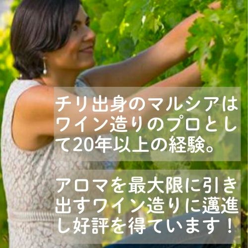 【サステナブル】ﾏﾀﾝｻﾞｽ･ｸﾘｰｸ／ソーヴィニヨン・ブラン
