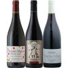 【2025年産】【新酒セット】極上生産者　選りすぐりボジョレー・ヌーボー　3本セット