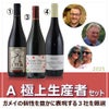 【2025年産】【新酒セット】極上生産者　選りすぐりボジョレー・ヌーボー　3本セット
