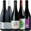 【2025年産】【新酒セット】ラグジュアリーな時間を過ごすためのボジョレー・ヌーボー　5本セット