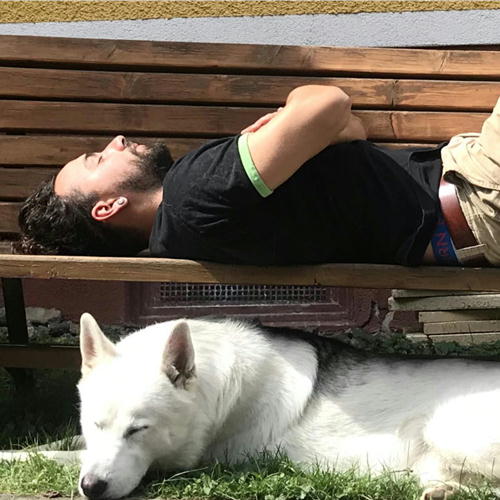 ドメーヌ ジャングル ウェルカム トゥー ジャングル／コバトル